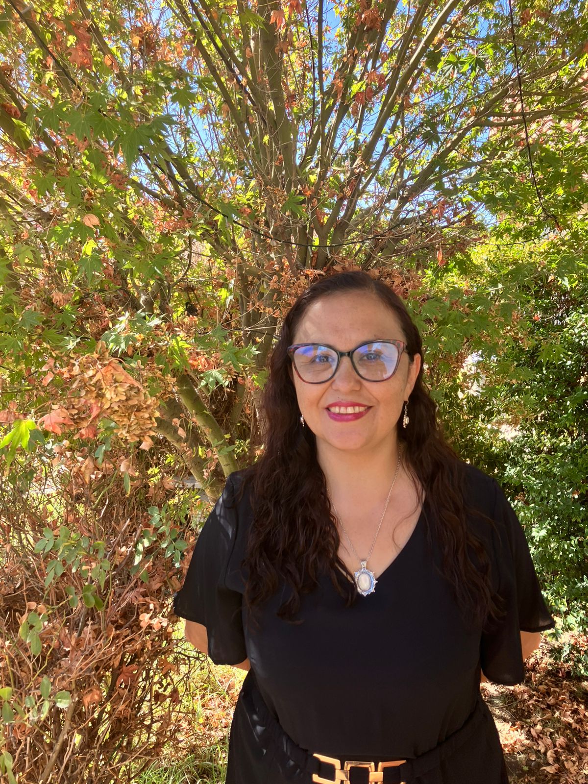 nuevafotoevelyn.casodeéxitoweb